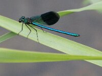 IMG 4587