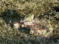 IMG 4759