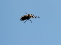 IMG 4690