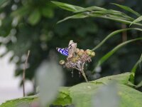 DSC03010
