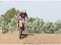 301 MCLB-VJMO Motocross Tielt