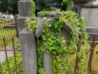 Begraafplaats Tielt 089 - 09-07-2020