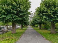 Begraafplaats Tielt 102 - 09-07-2020