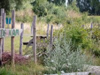Natuurdomein "De Kam" Tielt - 02 aug 2020 © Acx Dirk
