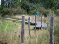 Natuurdomein "De Kam" Tielt - 02 aug 2020 © Acx Dirk