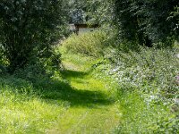 Natuurdomein "De Kam" Tielt - 02 aug 2020 © Acx Dirk