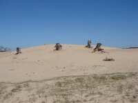 DSC00702