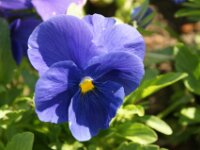 DSC00460