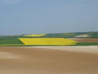 DSC00700