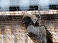 Aywaille Monde Sauvage 095