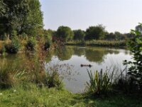 Brielmeersen 2009 052