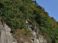 Herfstrit Esch sur Sure 164