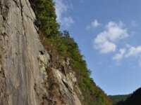 Herfstrit Esch sur Sure 169
