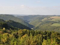 Herfstrit Esch sur Sure 173