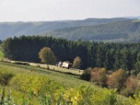 Herfstrit Esch sur Sure 176