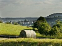 Herfstrit Esch sur Sure 186