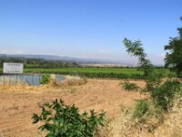 Poblet 006