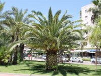 Salou 106