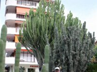 Salou 167
