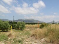 Santes Creus en Poblet - De rit 023