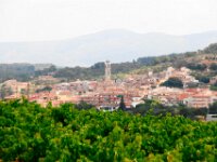 Santes Creus en Poblet - De rit 024