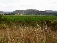 Santes Creus en Poblet - De rit 028