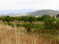 Santes Creus en Poblet - De rit 029