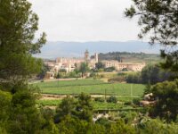 Santes Creus en Poblet - De rit 030