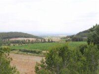 Santes Creus en Poblet - De rit 043