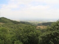 Santes Creus en Poblet - De rit 048