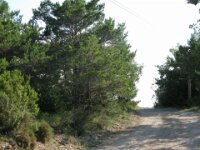 Santes Creus en Poblet - De rit 071