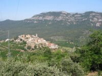 Santes Creus en Poblet - De rit 081