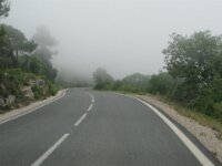 Santes Creus en Poblet - De rit 082