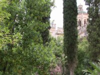 Santes Creus 004