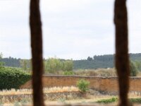 Santes Creus 078