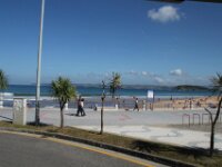 IMG 0503