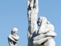 IMG 0536