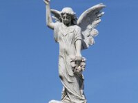 IMG 0255