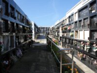 IMG 0258