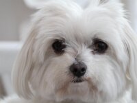 IMG 4767