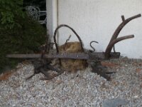 IMG 7756