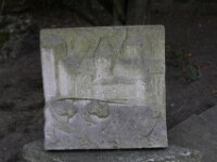 IMG 7808