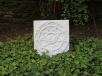 IMG 7809