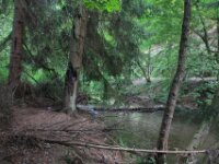IMG 7851