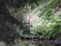 IMG 7866
