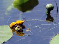 IMG 1293