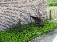 IMG 1804