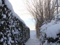 Sneeuwwandeling Tielt Poelberg 003