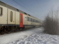 Sneeuwwandeling Tielt Poelberg 054