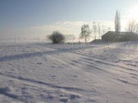 Sneeuwwandeling Tielt Poelberg 077